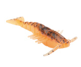 ZMAN PRAWNZ 2.5" 6PK